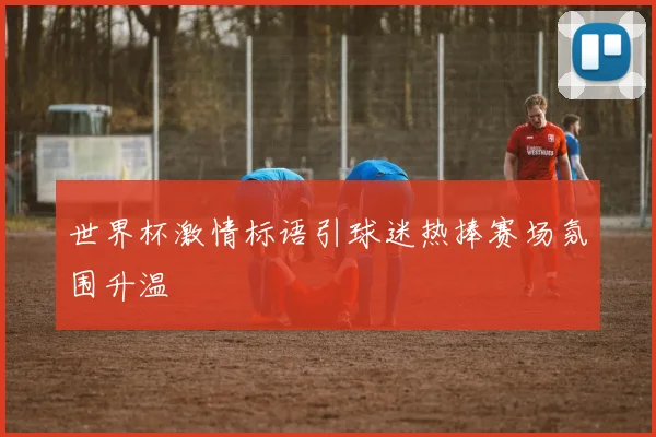世界杯激情标语引球迷热捧赛场氛围升温